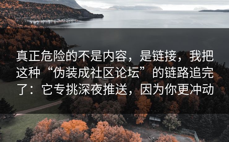 真正危险的不是内容，是链接，我把这种“伪装成社区论坛”的链路追完了：它专挑深夜推送，因为你更冲动