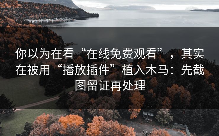 你以为在看“在线免费观看”，其实在被用“播放插件”植入木马：先截图留证再处理