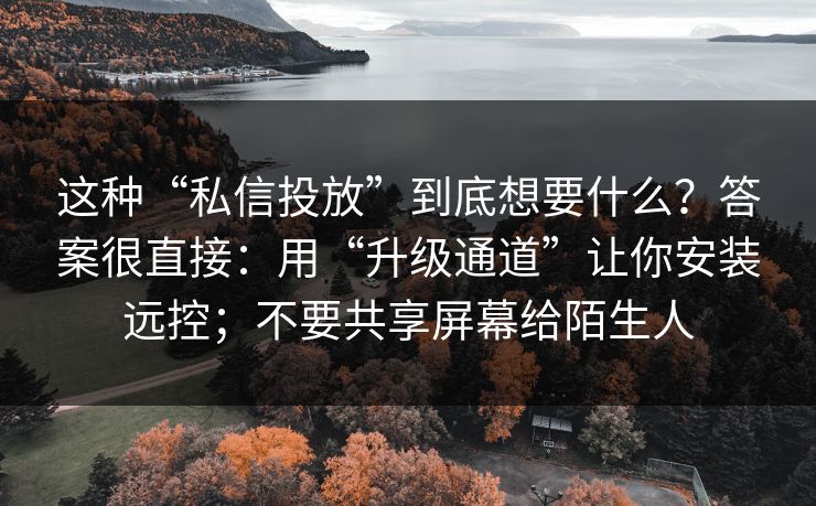 这种“私信投放”到底想要什么？答案很直接：用“升级通道”让你安装远控；不要共享屏幕给陌生人