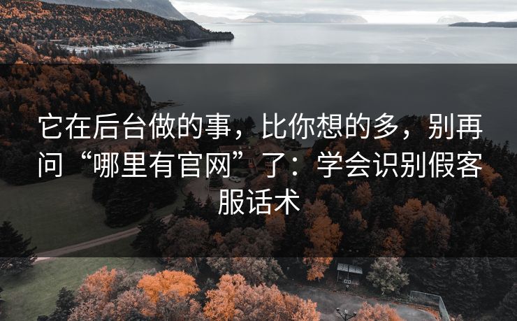 它在后台做的事，比你想的多，别再问“哪里有官网”了：学会识别假客服话术