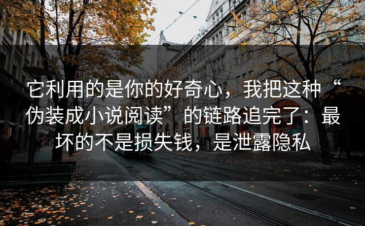 它利用的是你的好奇心，我把这种“伪装成小说阅读”的链路追完了：最坏的不是损失钱，是泄露隐私