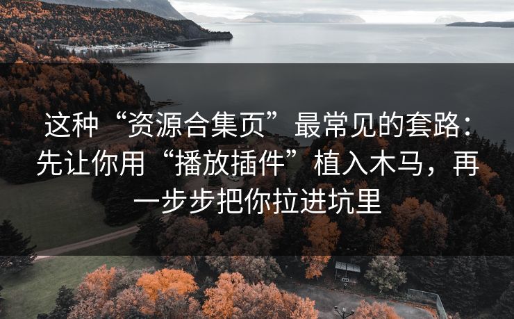 这种“资源合集页”最常见的套路：先让你用“播放插件”植入木马，再一步步把你拉进坑里