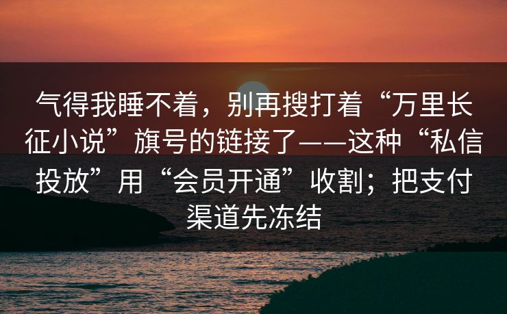 气得我睡不着，别再搜打着“万里长征小说”旗号的链接了——这种“私信投放”用“会员开通”收割；把支付渠道先冻结